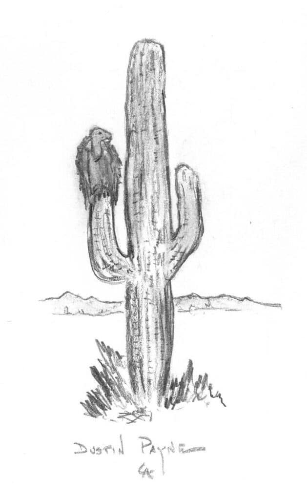 Sketch
