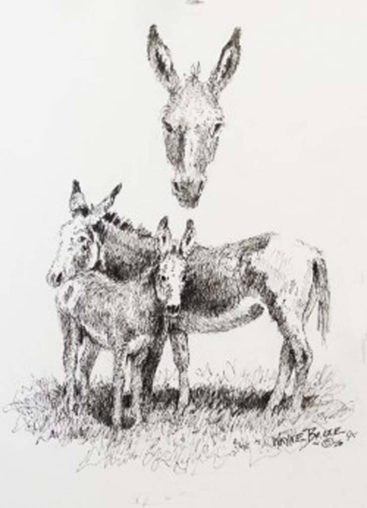 Burros