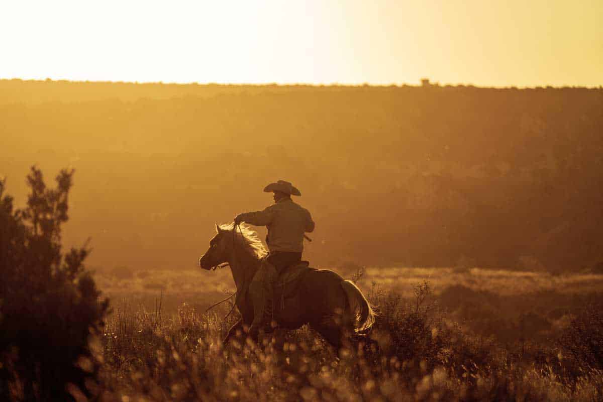 Annual Trail Ride
