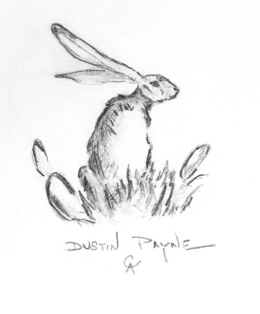 Catalog Sketch