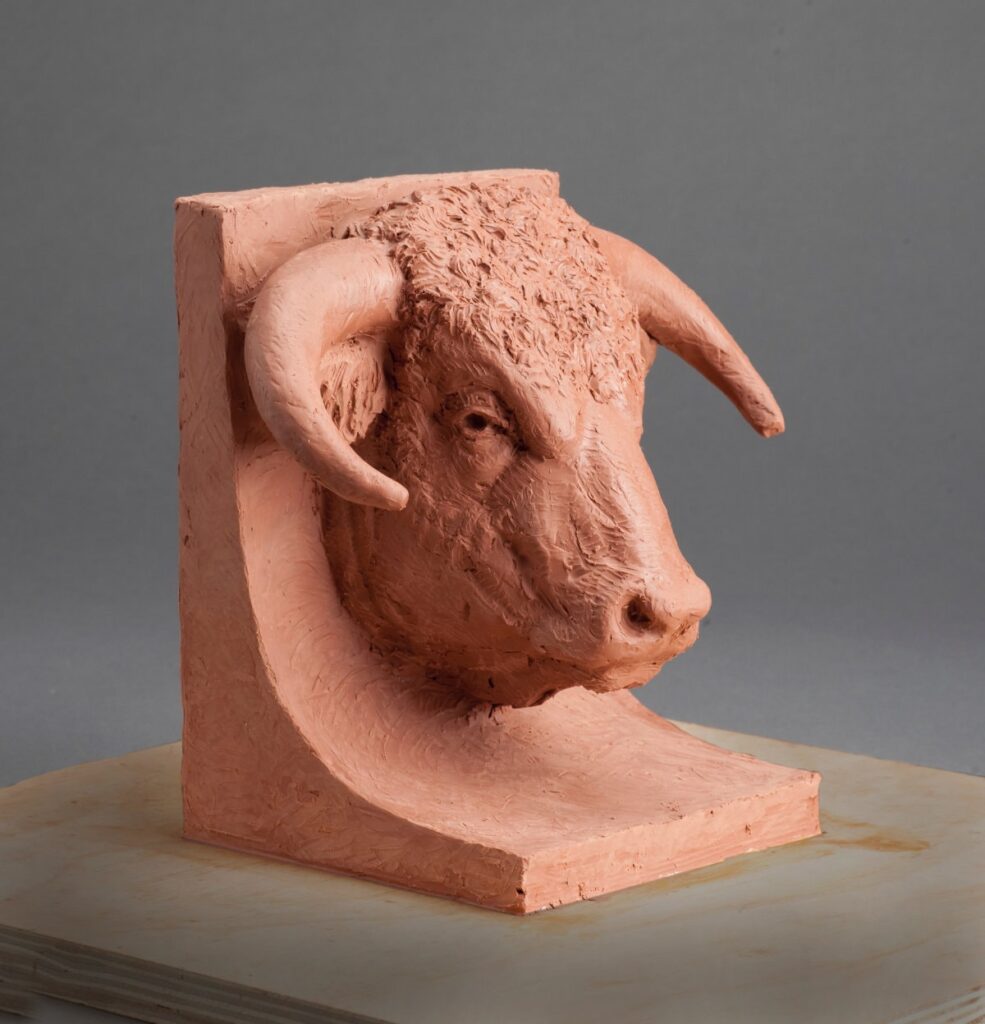Portrait of a Range Bull