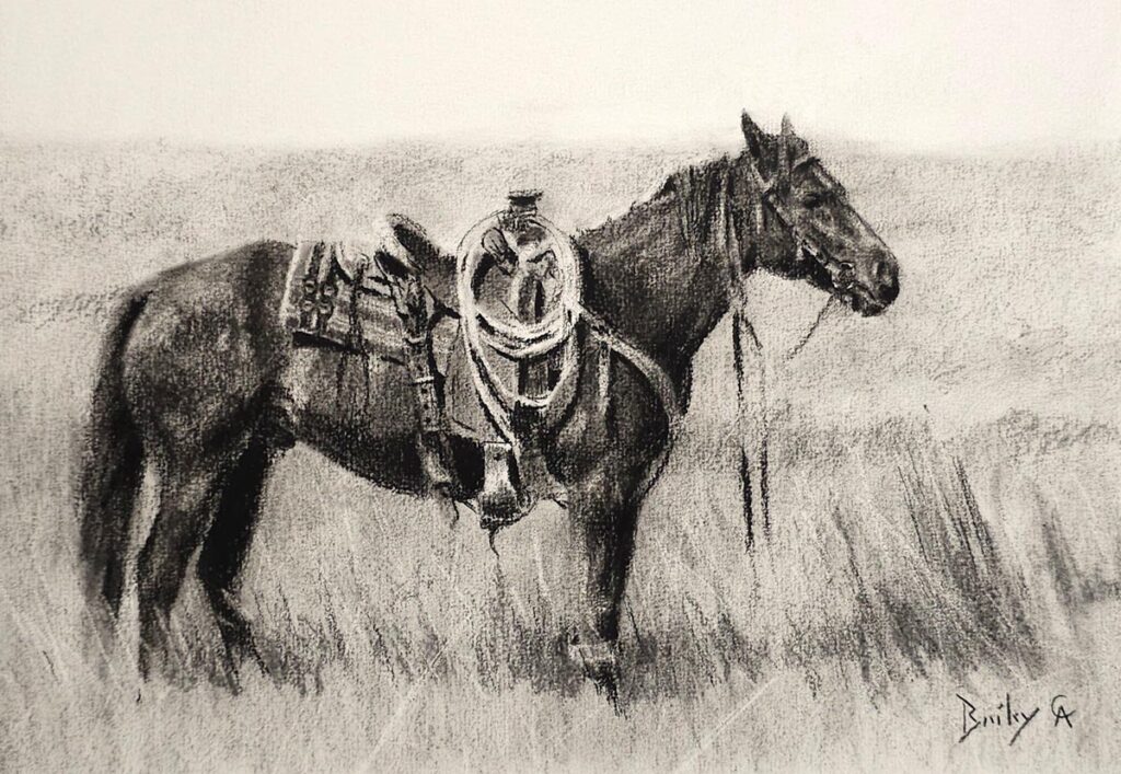 Nebraska Cow Pony