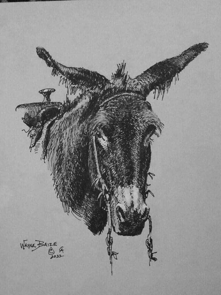 Burro – SOLD