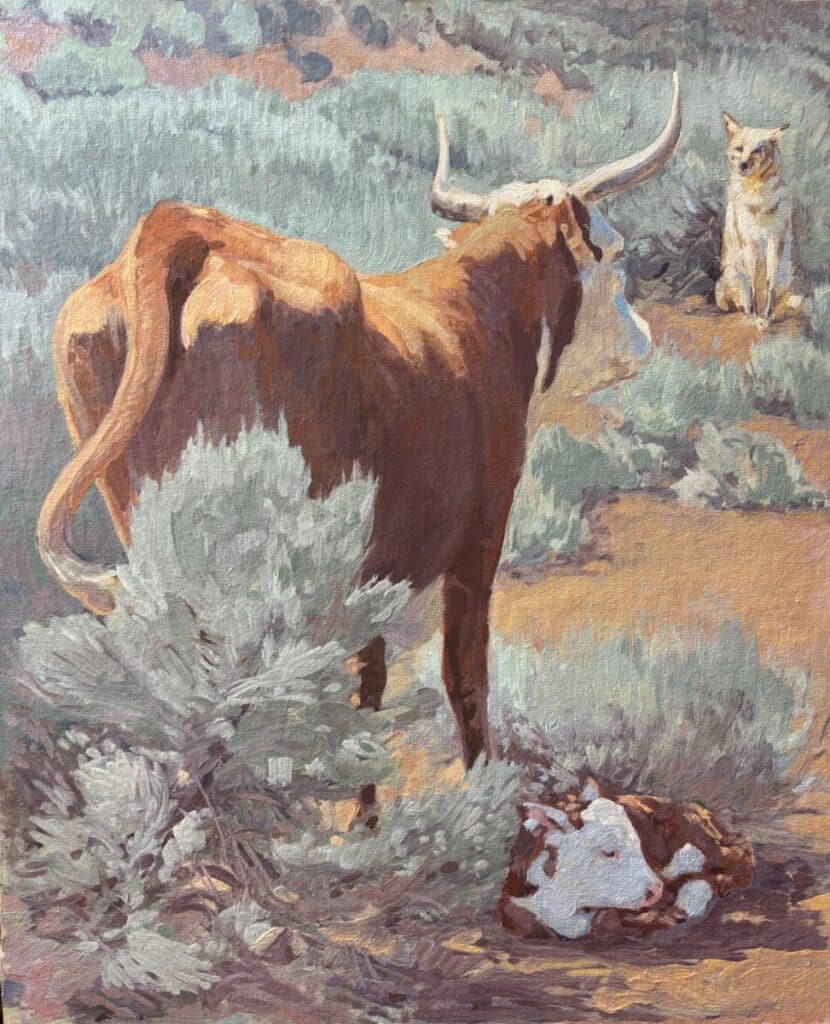Quandaried Coyote
