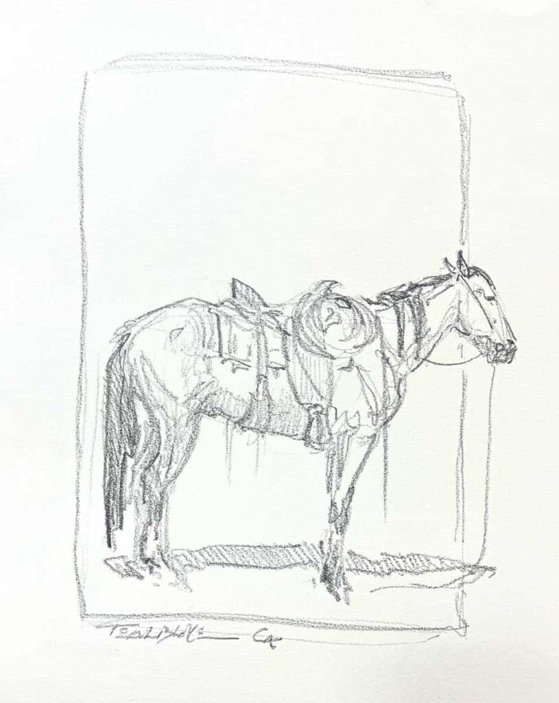 Cowpony