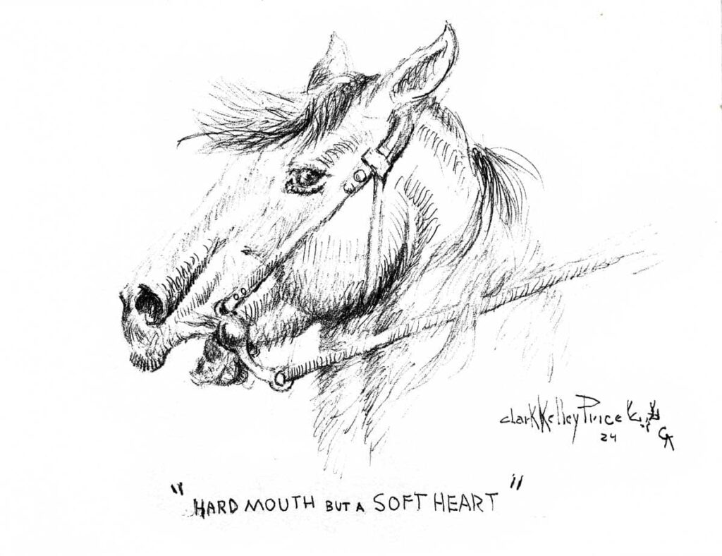 Hard Mouth But A Soft Heart
