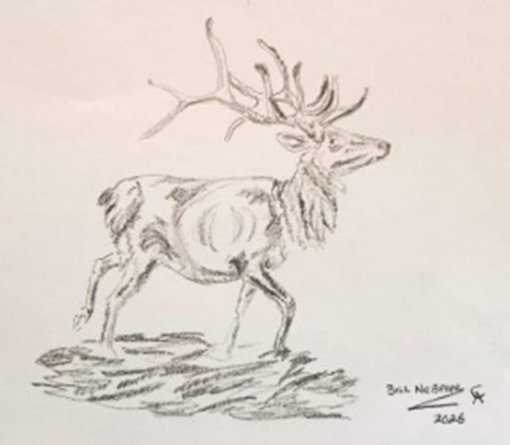 Catalog Sketch