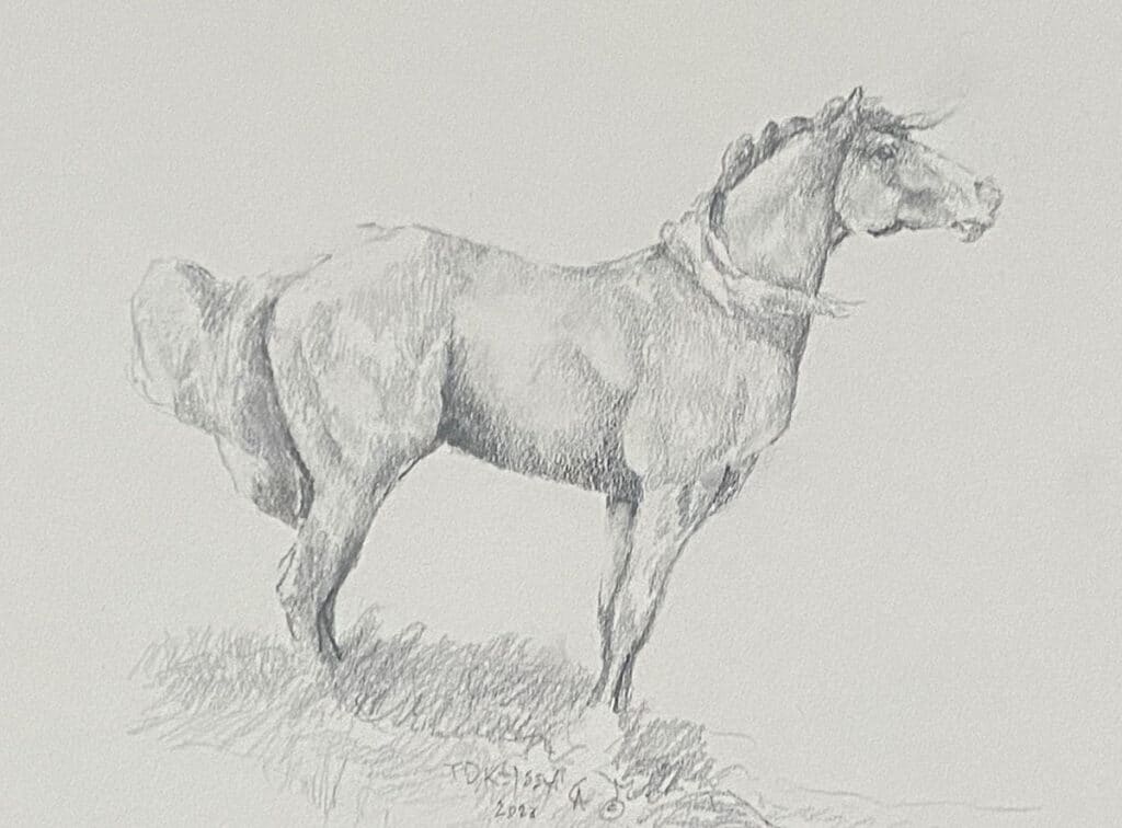Checking His Country – SOLD