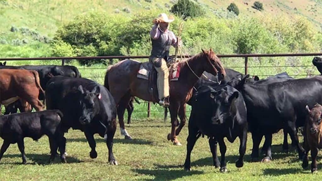 2019 Trail Ride